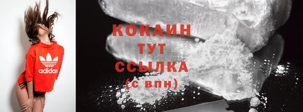 стаф Арсеньев