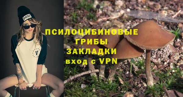 сатива Алзамай