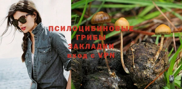 стаф Арсеньев