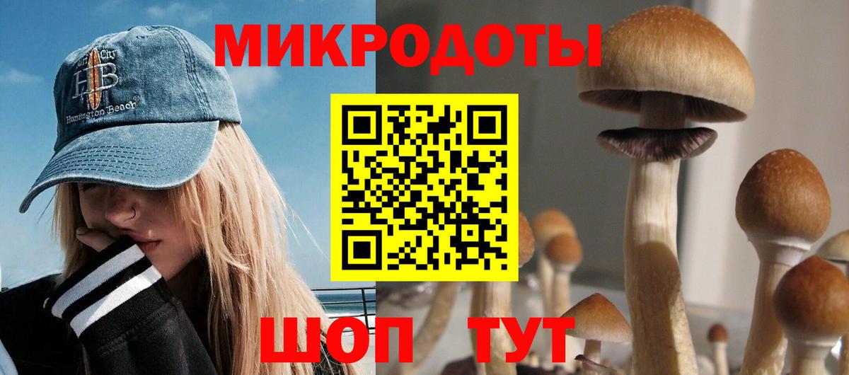 Галлюциногенные грибы GOLDEN TEACHER Волгодонск